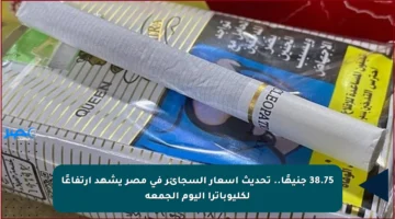 38.75 جنيهًا.. تحديث أسعار السجائر في مصر يشهد ارتفاعًا لكليوباترا اليوم الجمعة